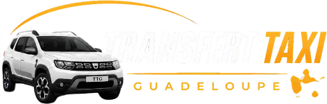 logo transfert taxi guadeloupe