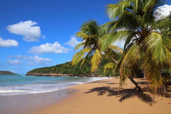plages guadeloupe transfert en taxi